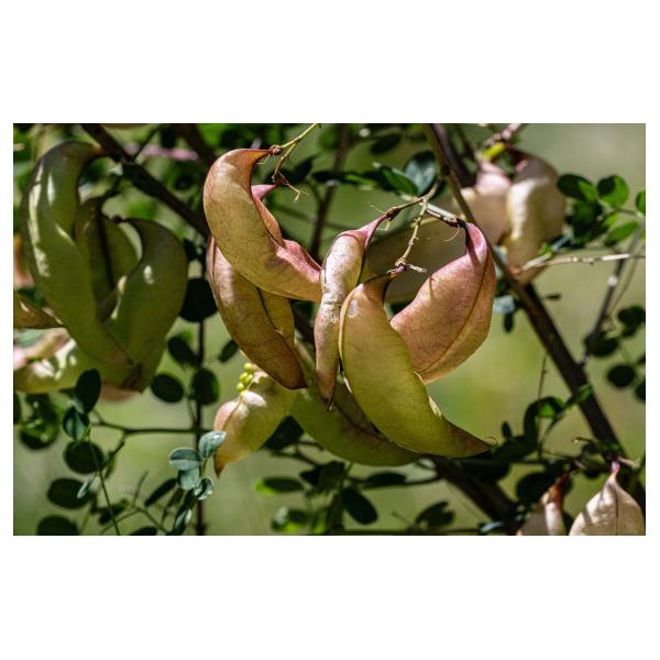 PHOTO84, CLUB, 84 , LUBERON